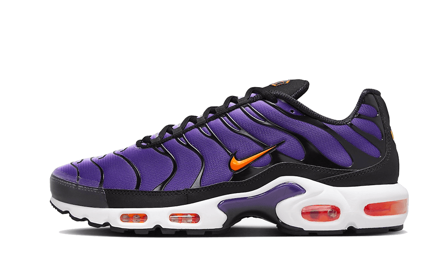 Nike Air Max Plus Voltage Purple - CD0609-024 / DX0755-500