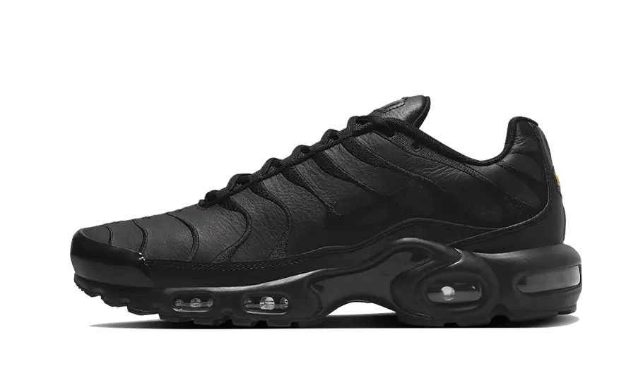 Nike Air Max Plus Triple Black Leather - AJ2029-001